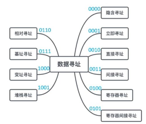 計算機組成與體系結(jié)構(gòu) 體系結(jié)構(gòu)分類與系統(tǒng)服務概述